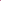 Horizion Longline Half Snap in Crisp Pink